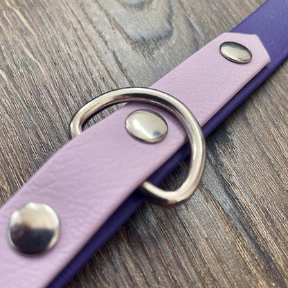 Purple Waterproof Dog Collar