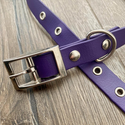 Purple Waterproof Dog Collar