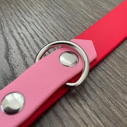 Red Waterproof Dog Collar