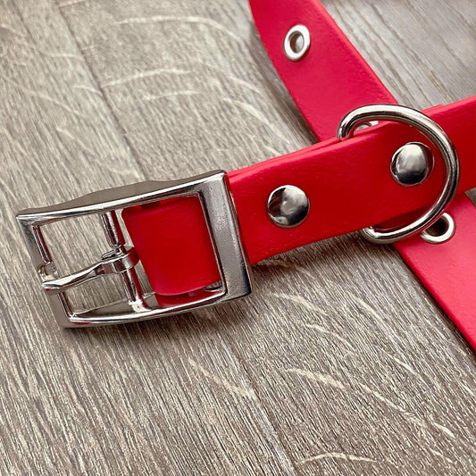 Red Waterproof Dog Collar