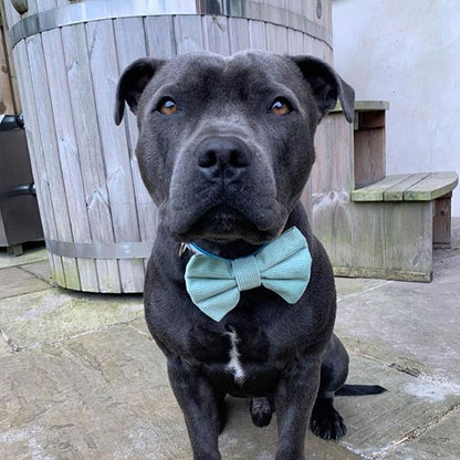 Sage Green Corduroy Dog Bow Tie