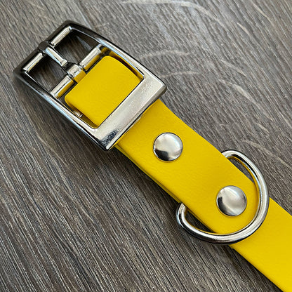 Sunshine Yellow Waterproof Dog Collar