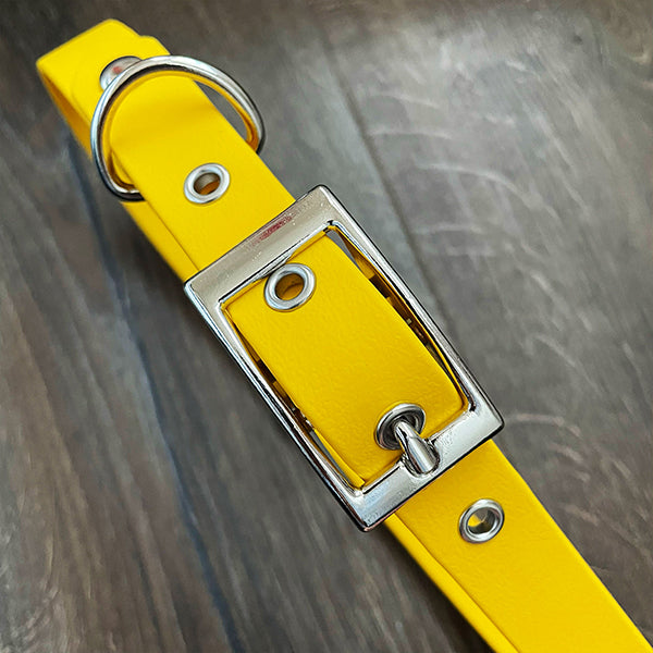 Sunshine Yellow Waterproof Dog Collar