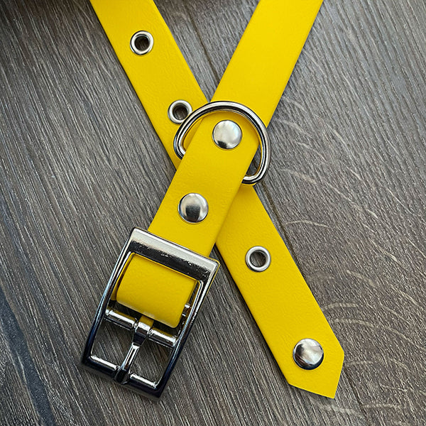 Sunshine Yellow Waterproof Dog Collar