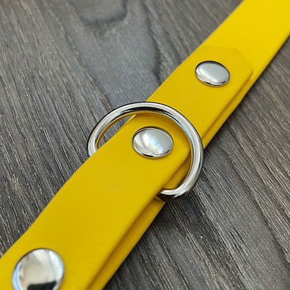 Sunshine Yellow Waterproof Dog Collar