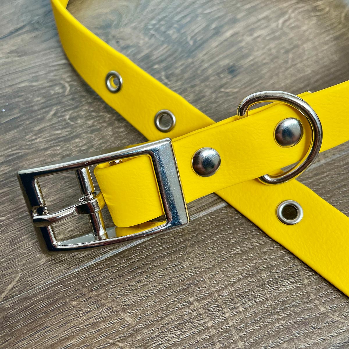 Sunshine Yellow Waterproof Dog Collar