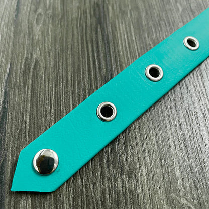 Teal Blue Waterproof Dog Collar