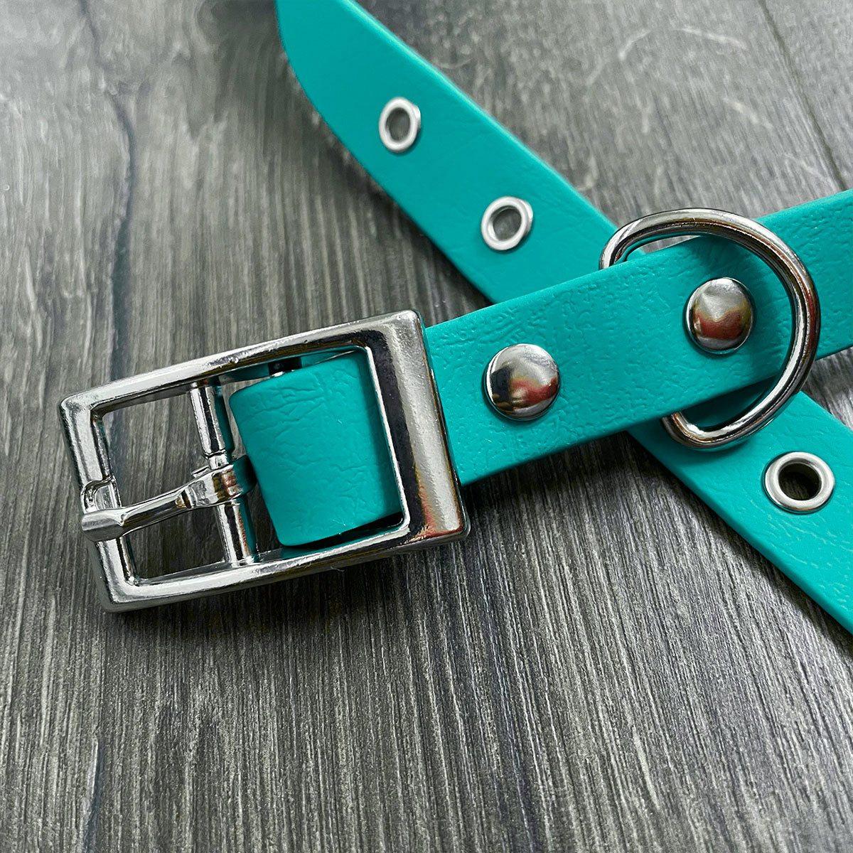 Teal Blue Waterproof Dog Collar