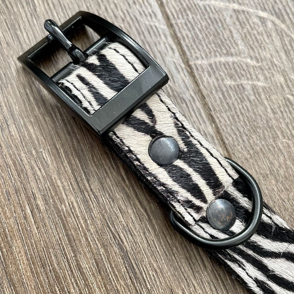 Zebra Print Leather Dog Collar