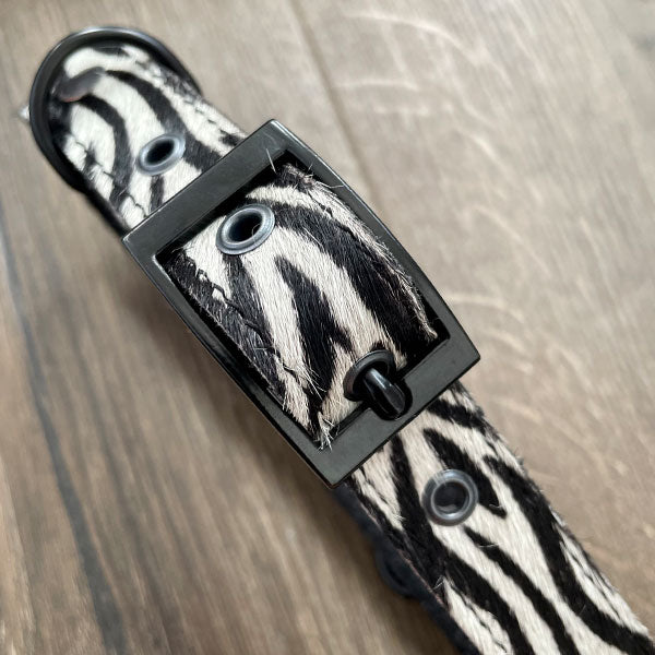 Zebra Print Leather Dog Collar