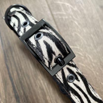 Zebra Print Leather Dog Collar