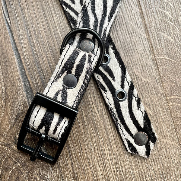 Zebra Print Leather Dog Collar