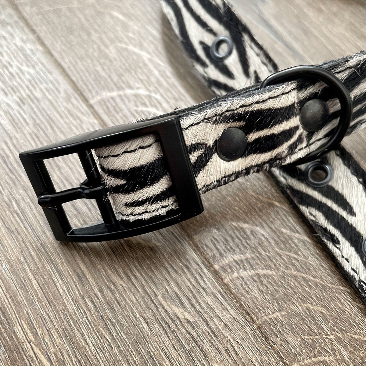 Zebra Print Leather Dog Collar