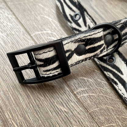 Zebra Print Leather Dog Collar